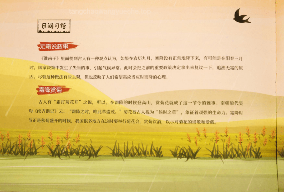 清明谷雨翻牌：解锁二十四节气中的传统智慧