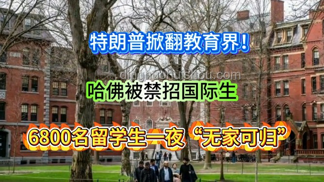 哈佛“国际禁招令”风波：一场教育界的“过山车”经历